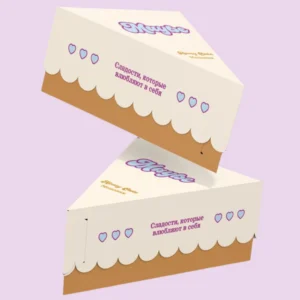 Cake Slice Boxes