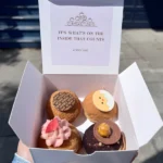 Choux Boxes