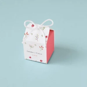 Party Favor Boxes