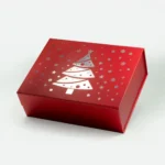Christmas Packaging Boxes