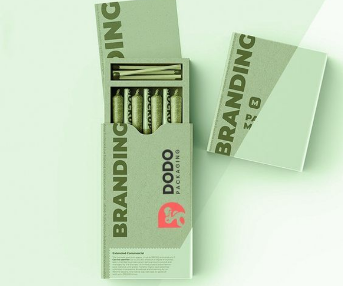 Child-resistant blunt packaging