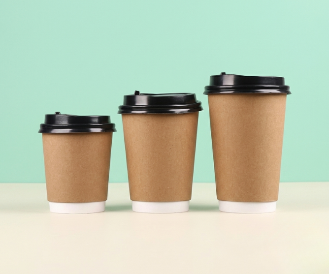 Eco-friendly kraft cup